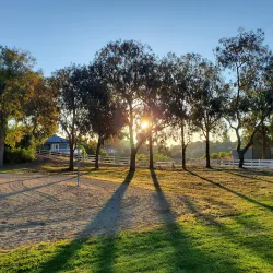Ernie Howlett Park - Rancho Palos Verdes