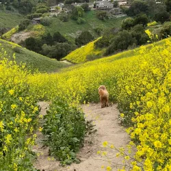 Ernie Howlett Park - Rancho Palos Verdes