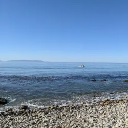 Ocean Trails Golf Course - Rancho Palos Verdes