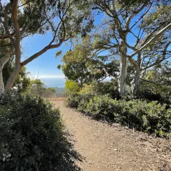 Portuguese Bend Reserve - Rancho Palos Verdes