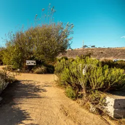 White Point Nature Preserve - Rancho Palos Verdes