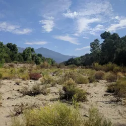 O'Neill Regional Park - Rancho Santa Margarita