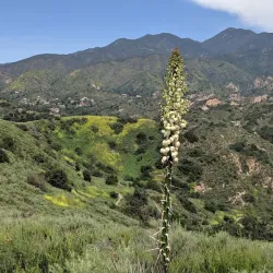 O'Neill Regional Park - Rancho Santa Margarita