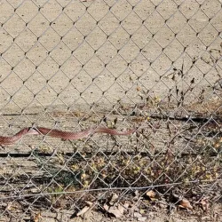 Rancho Santa Margarita Skate Park - Rancho Santa Margarita