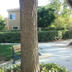 Vista Del Verde Park - Rancho Santa Margarita