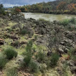 Sacramento River Trail - Redding