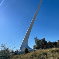 Turtle Bay Exploration Park - Redding