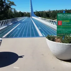 Turtle Bay Exploration Park - Redding