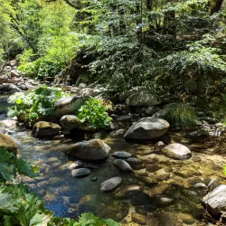 Whiskeytown National Recreation Area - Redding