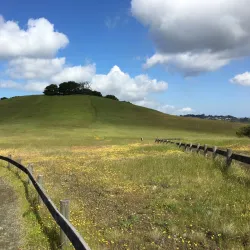 Edgewood Park and Natural Preserve - Redwood City