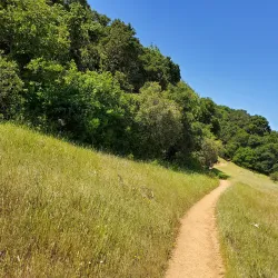Edgewood Park and Natural Preserve - Redwood City