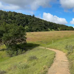 Edgewood Park and Natural Preserve - Redwood City