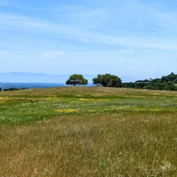 Edgewood Park and Natural Preserve - Redwood City