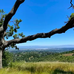 Edgewood Park and Natural Preserve - Redwood City