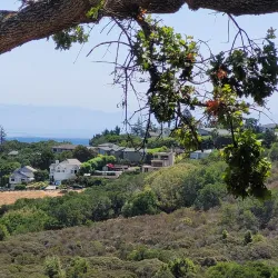 Edgewood Park and Natural Preserve - Redwood City