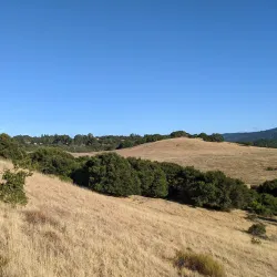 Edgewood Park and Natural Preserve - Redwood City