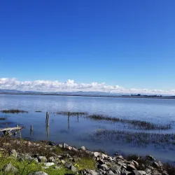 Marina Park - Redwood City