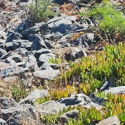 Marina Park - Redwood City