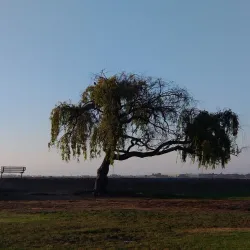 Marina Park - Redwood City