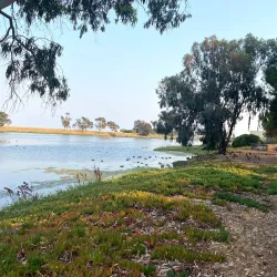 Marina Park - Redwood City