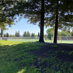 Red Morton Park - Redwood City