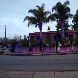 Red Morton Park - Redwood City