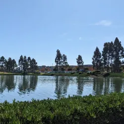 Redwood Shores Lagoon - Redwood City