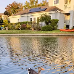 Redwood Shores Lagoon - Redwood City