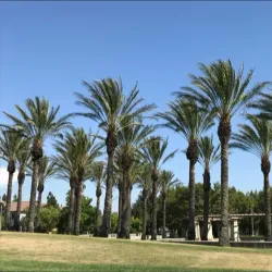 Fontana Park - Rialto
