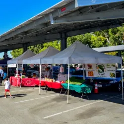 Rialto Farmers Market - Rialto