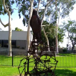 Rialto Public Library - Rialto