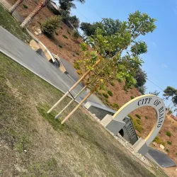 Rialto Skate Park - Rialto