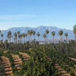 California Citrus State Historic Park - Riverside
