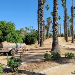 California Citrus State Historic Park - Riverside