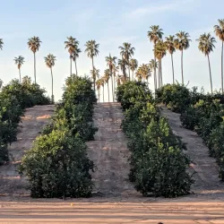 California Citrus State Historic Park - Riverside