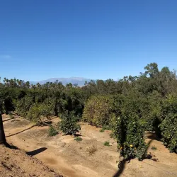 California Citrus State Historic Park - Riverside