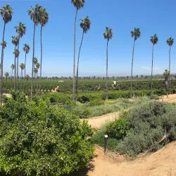California Citrus State Historic Park - Riverside