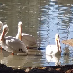 Fairmount Park - Riverside