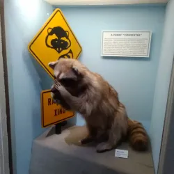 Riverside Metropolitan Museum - Riverside