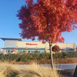 Blue Oaks Trail - Rocklin