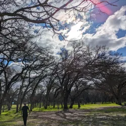 Johnson-Springview Park - Rocklin