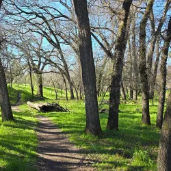 Johnson-Springview Park - Rocklin