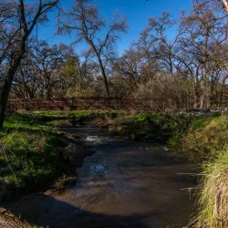 Johnson-Springview Park - Rocklin