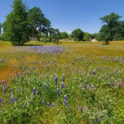 Maidu Museum & Historic Site - Rocklin