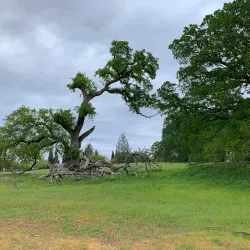 Maidu Museum & Historic Site - Rocklin