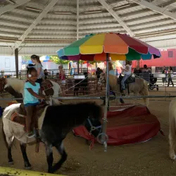Placer County Fairgrounds - Rocklin