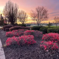 Whitney Community Park - Rocklin