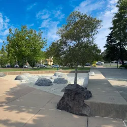 Cotati-Rohnert Park Regional Park - Rohnert Park