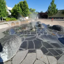 Cotati-Rohnert Park Regional Park - Rohnert Park