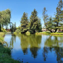 Golf Course at Rohnert Park - Rohnert Park